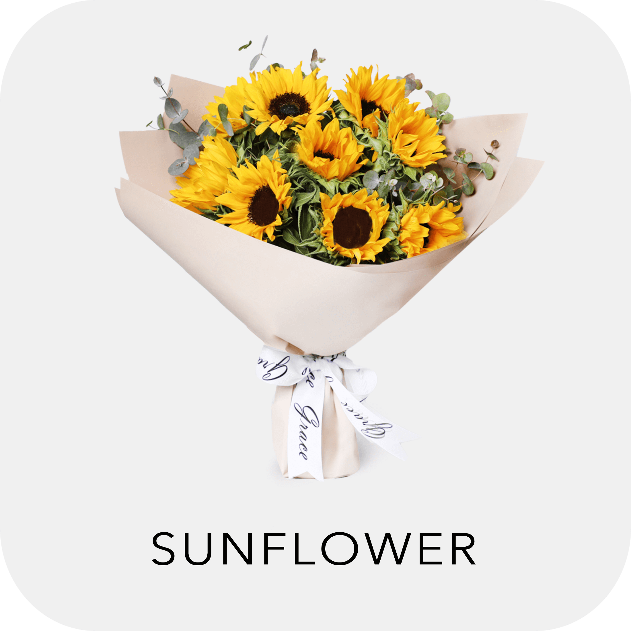 Sunflower flower Box & Bouquet delivery in Dubai 24/7 Free Delivery Grace Flowers AE