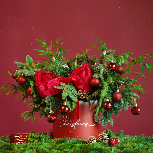 Red Bow Christmas in Box - Grandiose