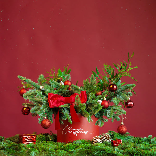 Red Bow Christmas in Box - Majestic