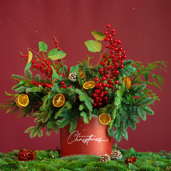 Citrus Winter Cheer in Box - Grandiose