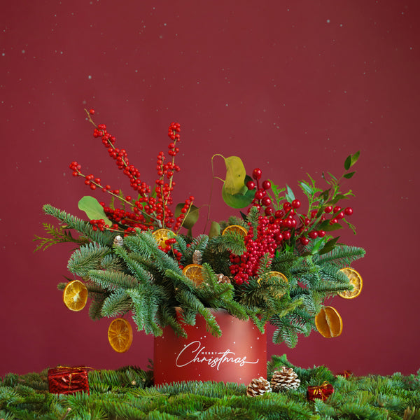 Citrus Winter Cheer in Box - Majestic
