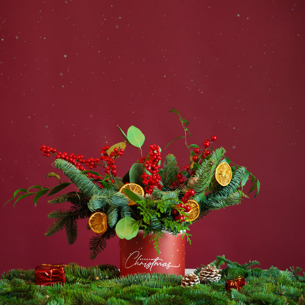 Citrus Winter Cheer in Box - Chic