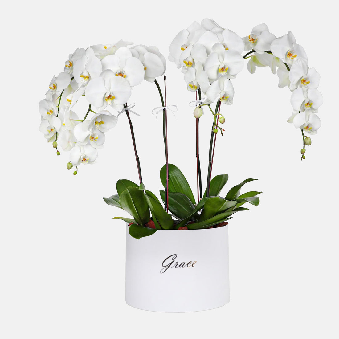 Send flowers that