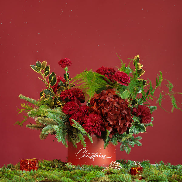 Red Christmas in Box - Majestic