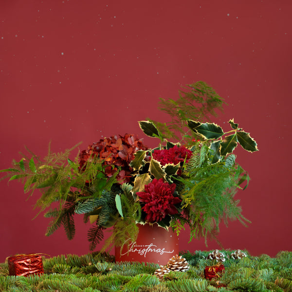 Red Christmas in Box - Chic