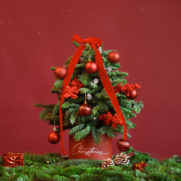Mini Tree in Box