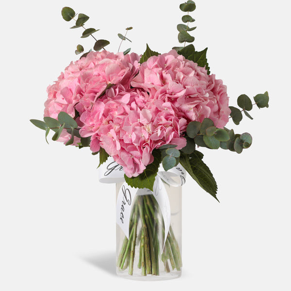 Pink Hydrangea in Vase
