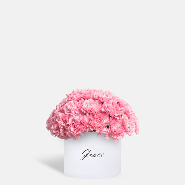 Pink Carnation in Box