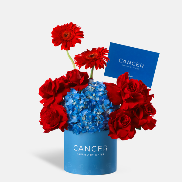 Cancer Zodiac - Crush