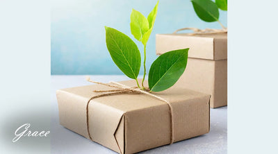 Eco-Friendly Gift Ideas: Best Sustainable and Green Gifts