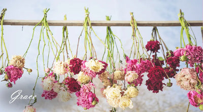 How to dry flowers at home