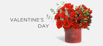 Valentine's Day Collection