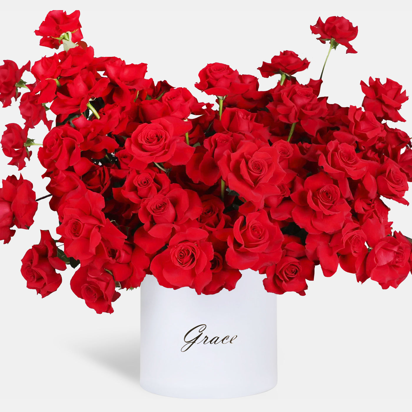 100/101 Elegance Red Roses in Box
