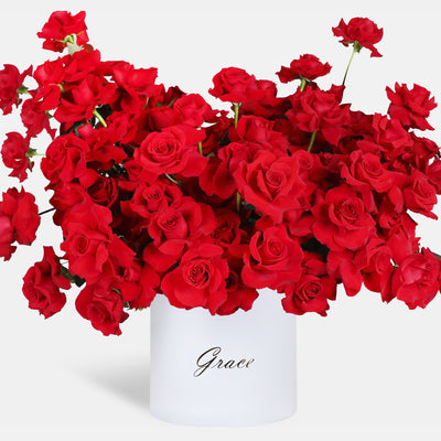 100/101 Elegance Red Roses in Box