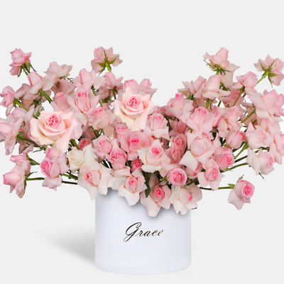 100/101 Elegance Pink Roses in Box
