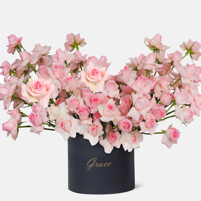 100 Elegance Roses in Box