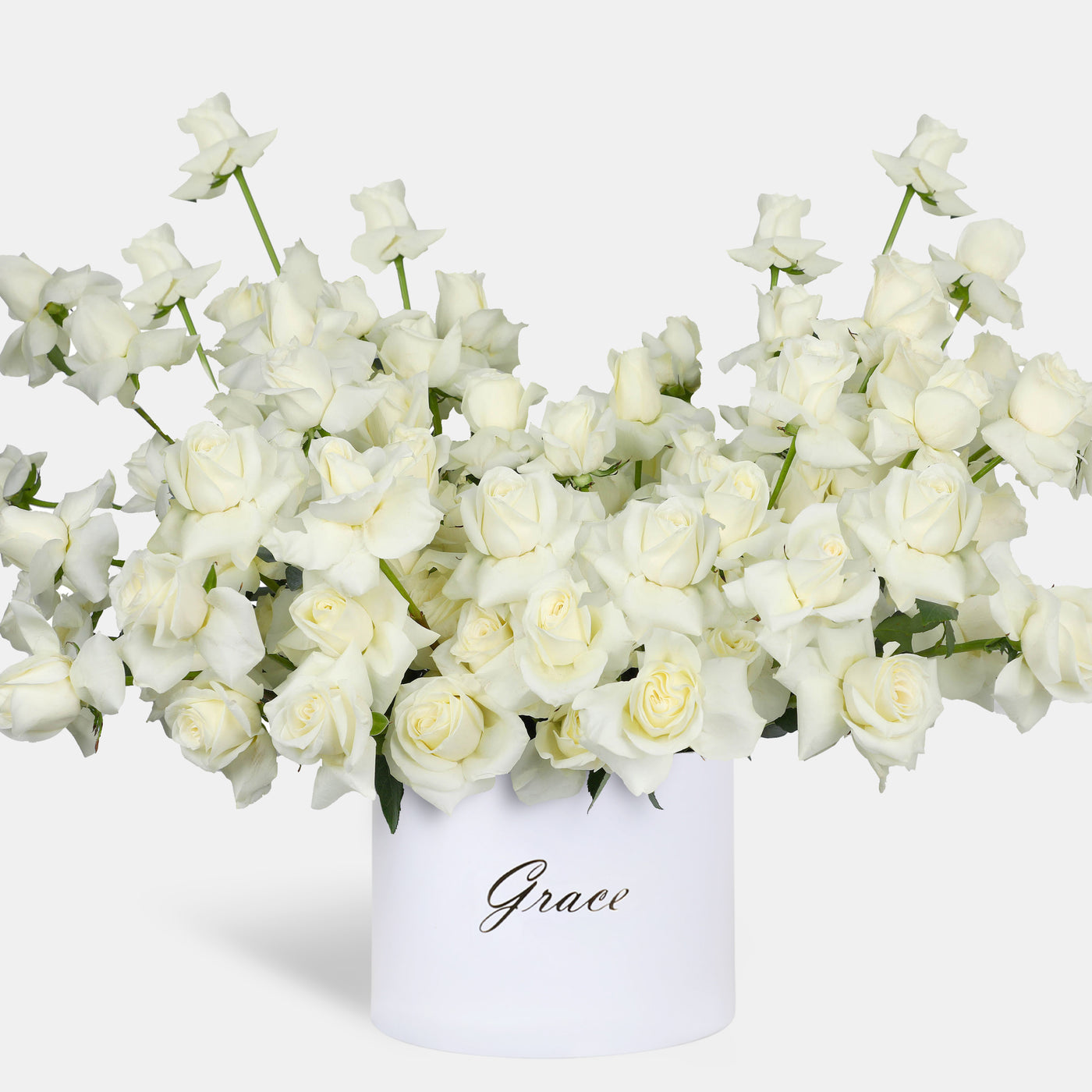 100/101 Elegance White Roses in Box