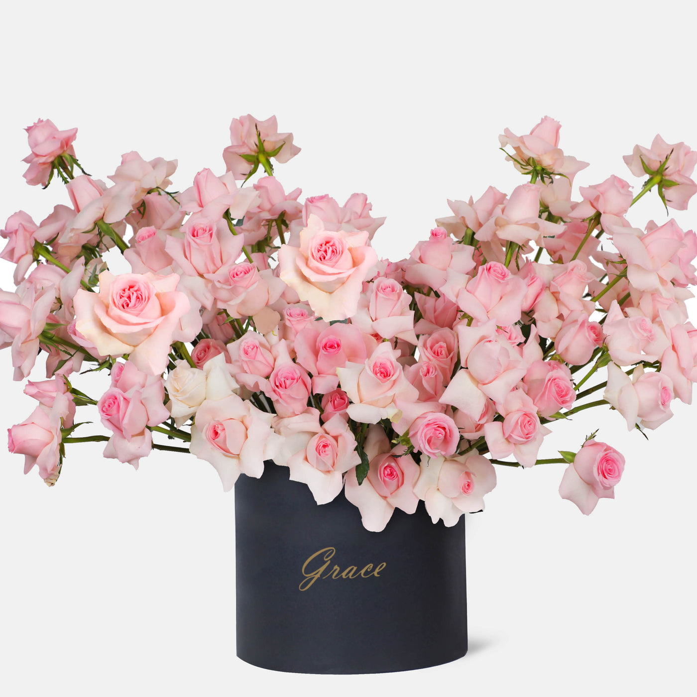 100 Elegance Pink Roses in Box