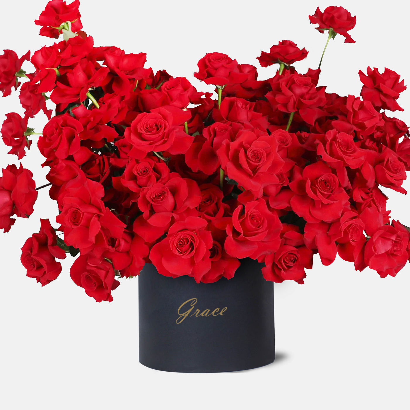 100 Red Roses in Box