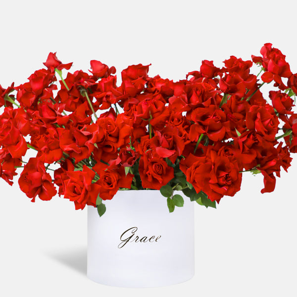 100/101 Red Roses in Box