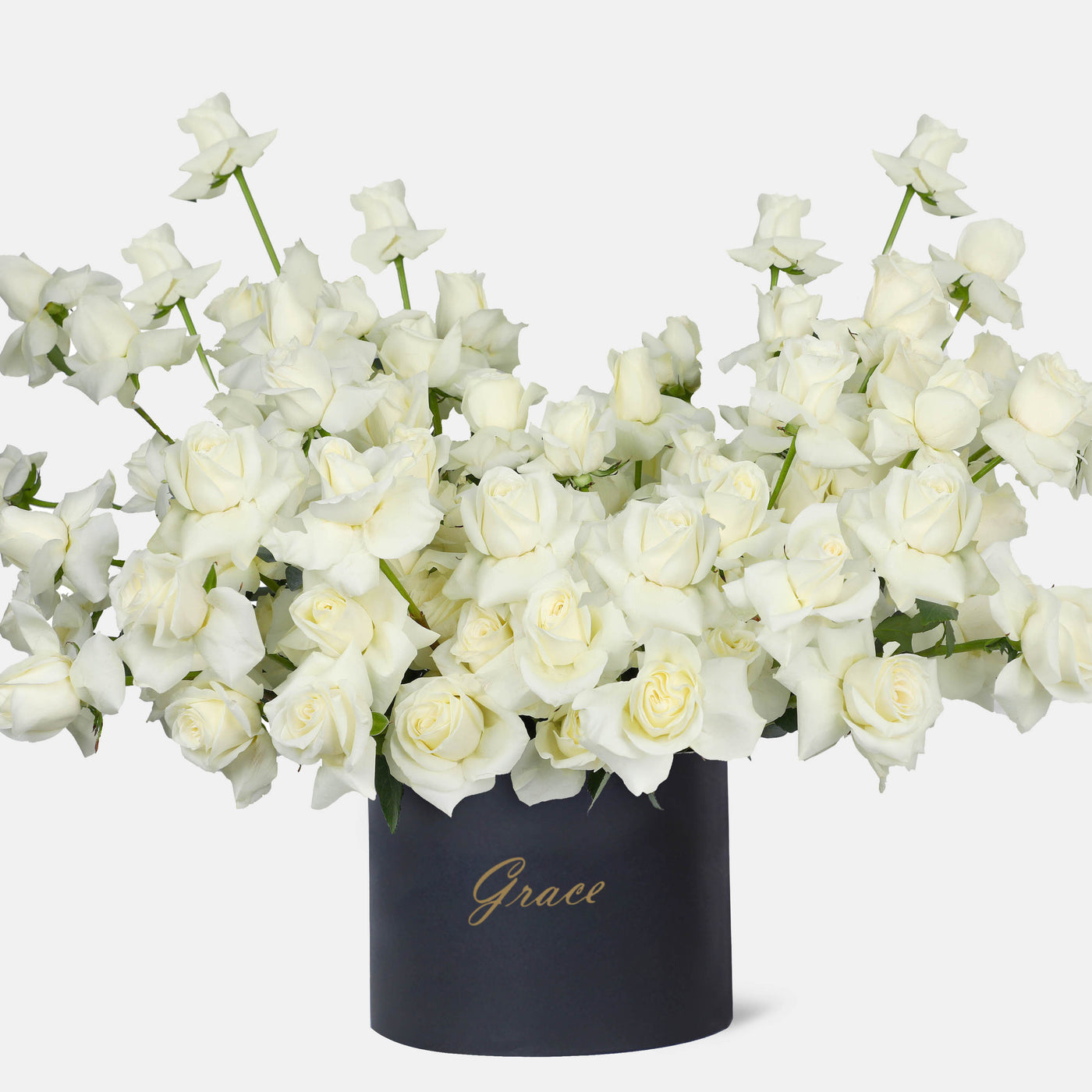 100 Elegance White Roses in Box