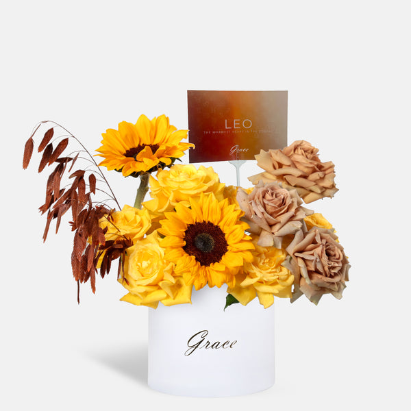 Leo - Honeycomb in Box
