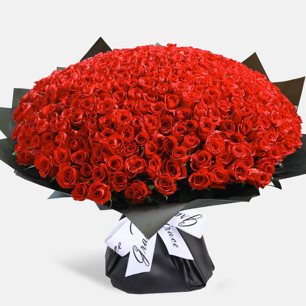 500/501 Red Roses Bouquet