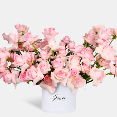 50/51 Elegance Pink Roses in Box