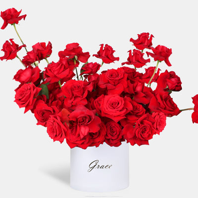 50/51 Elegance Red Roses in Box