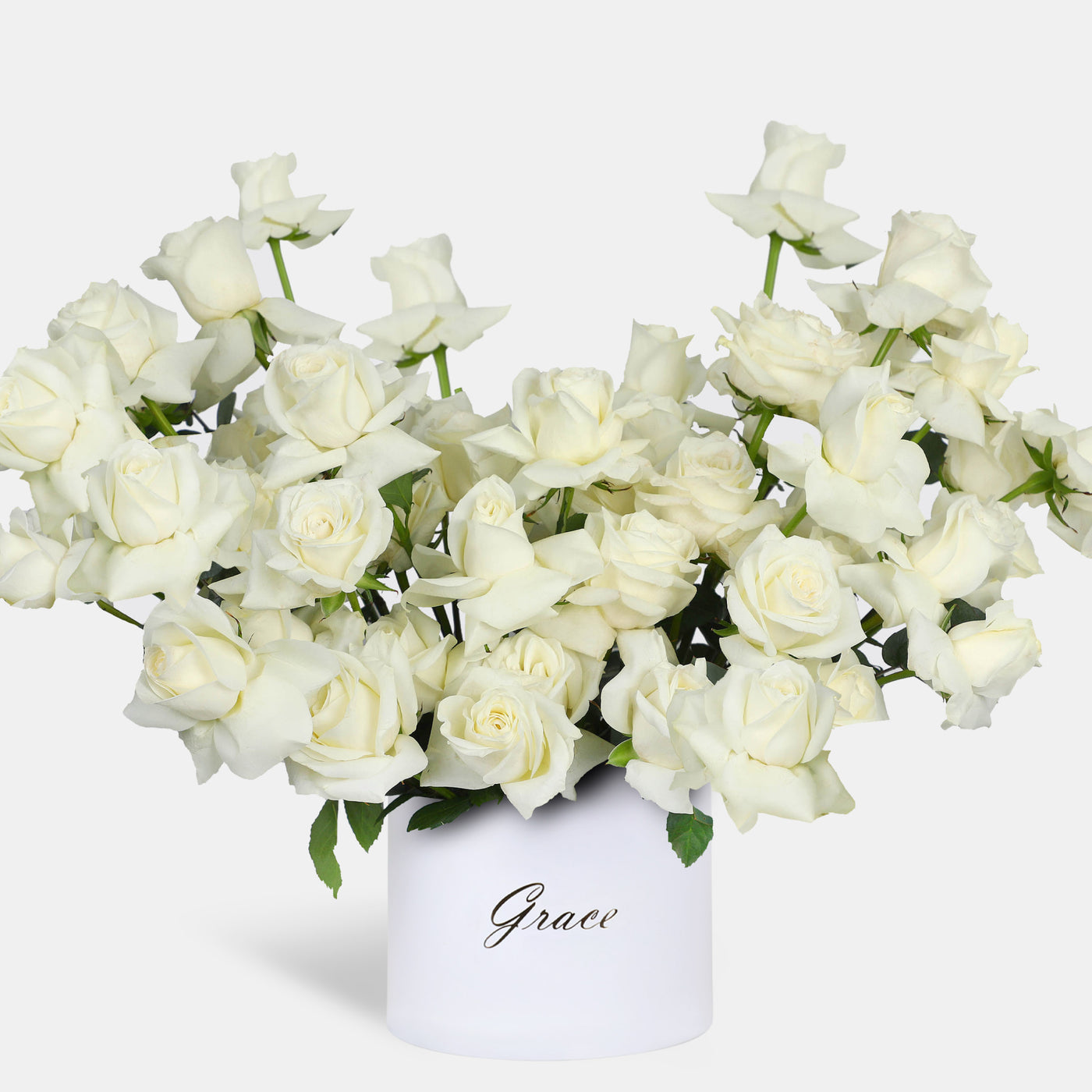 50/51 Elegance White Roses in Box