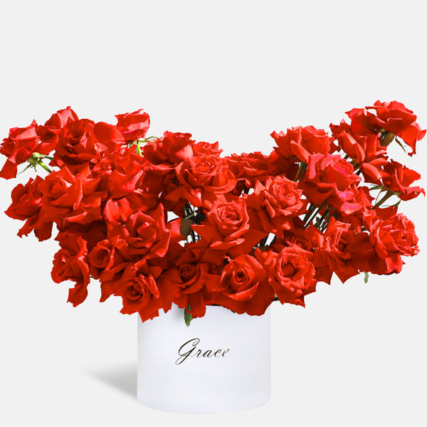50/51 Red Roses in Box