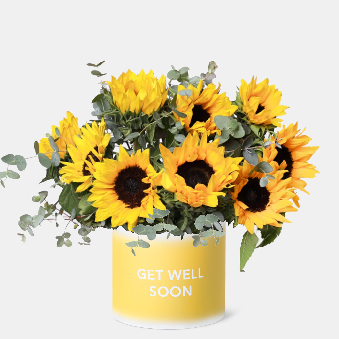 Get Well Soon Sunflower in Box