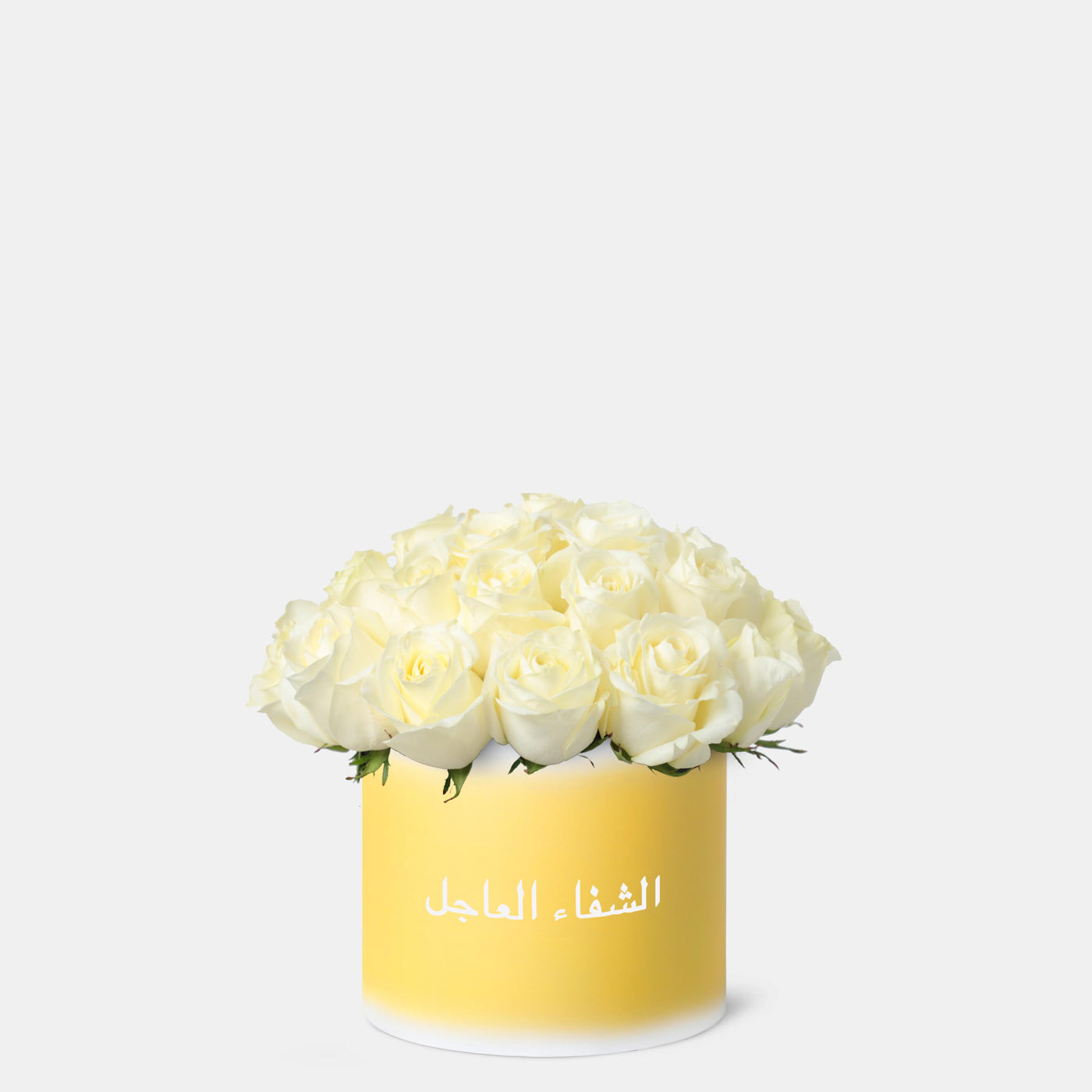 Get well Soon White Roses in Box - In Arabic