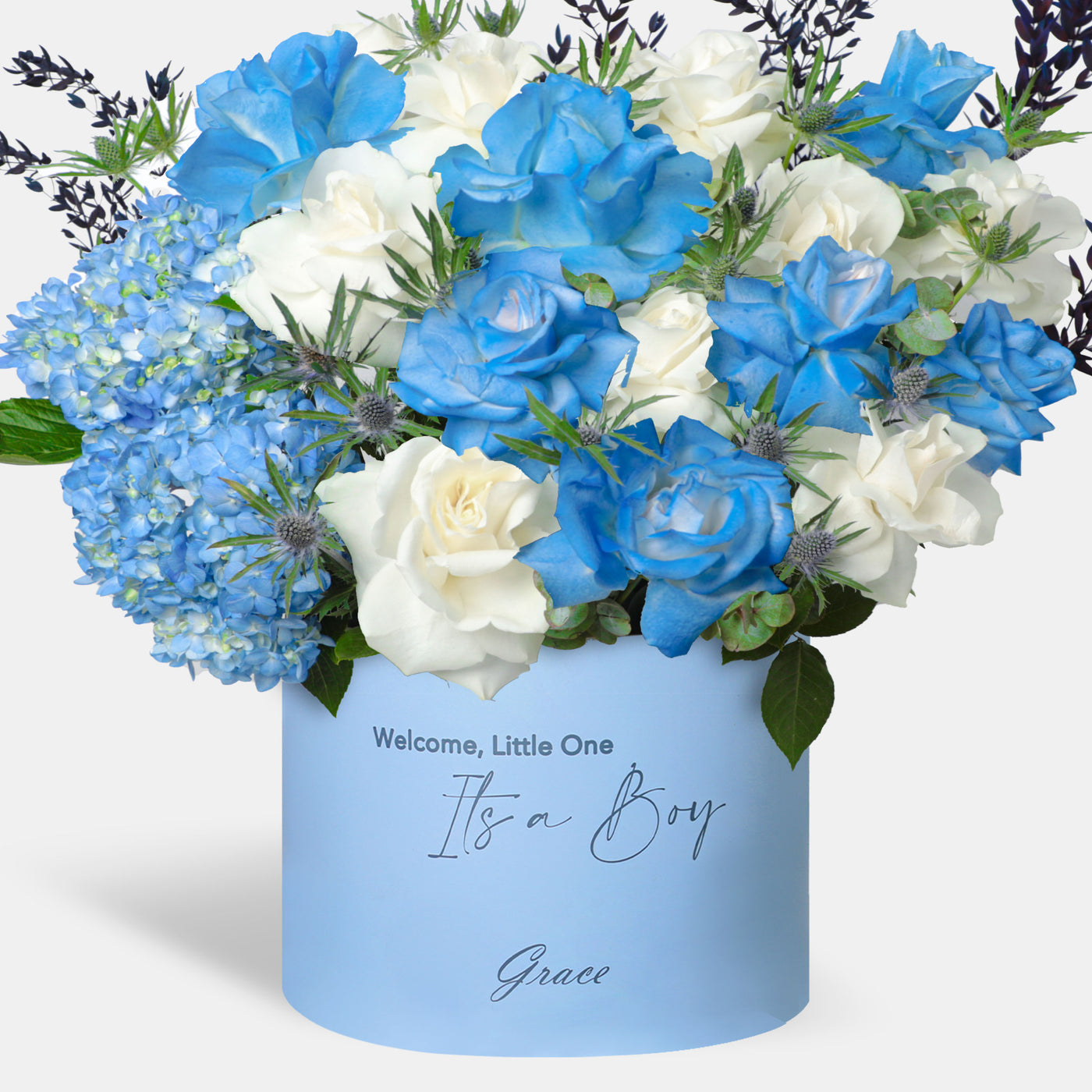 Baby Boy Blue Legacy in Box