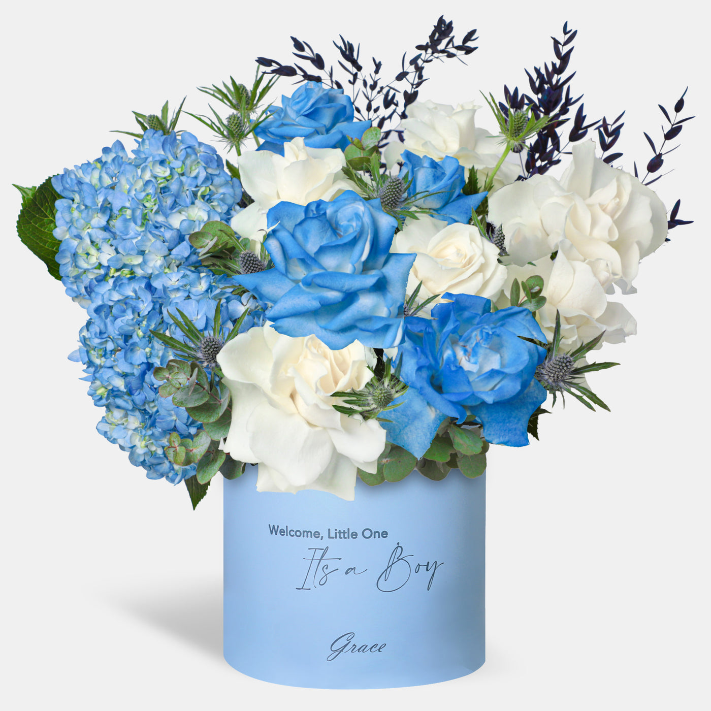 Baby Boy Blue Legacy in Box