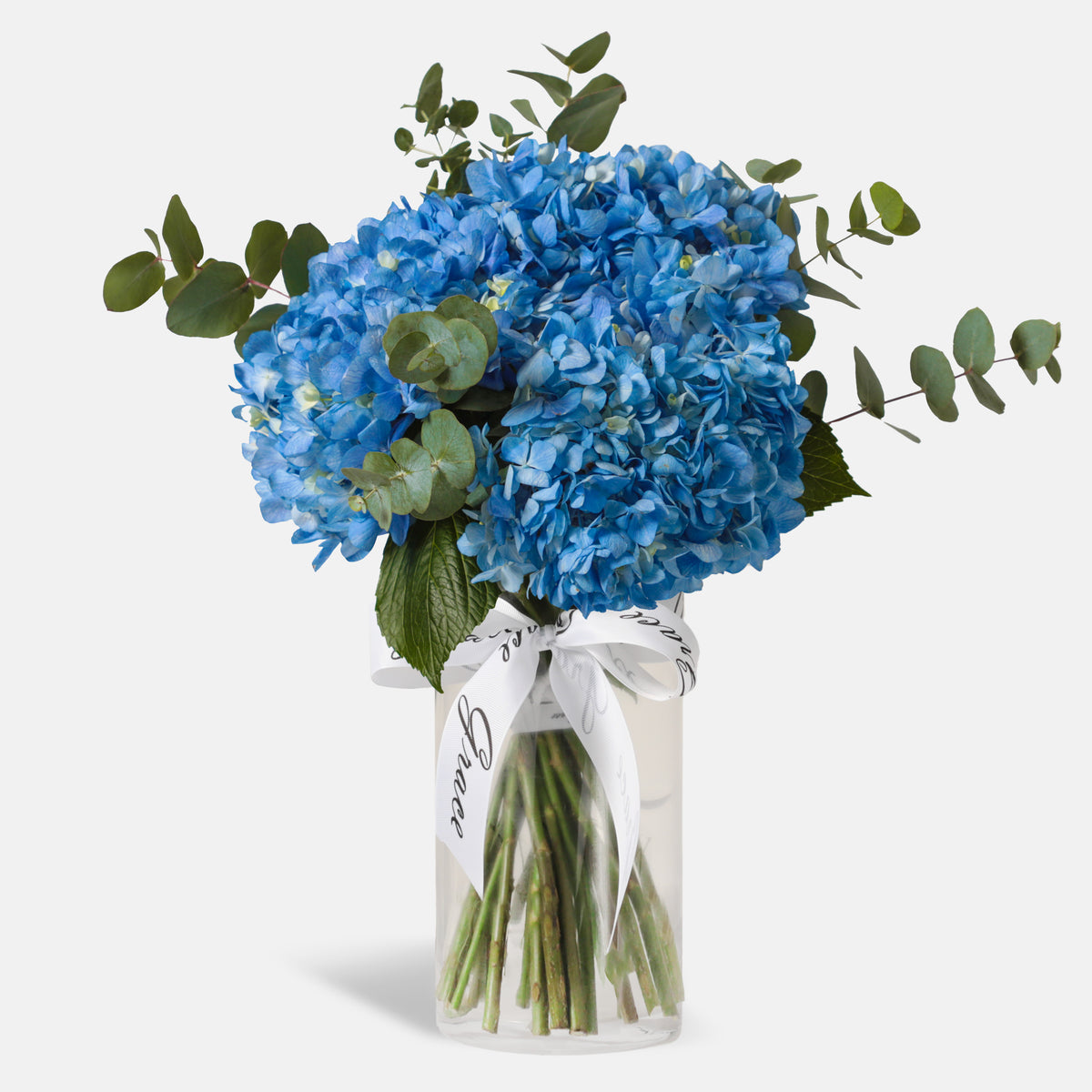 Blue Hydrangea in Vase