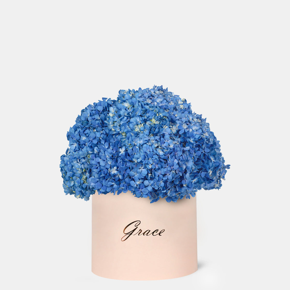 Blue Hydrangea in Box