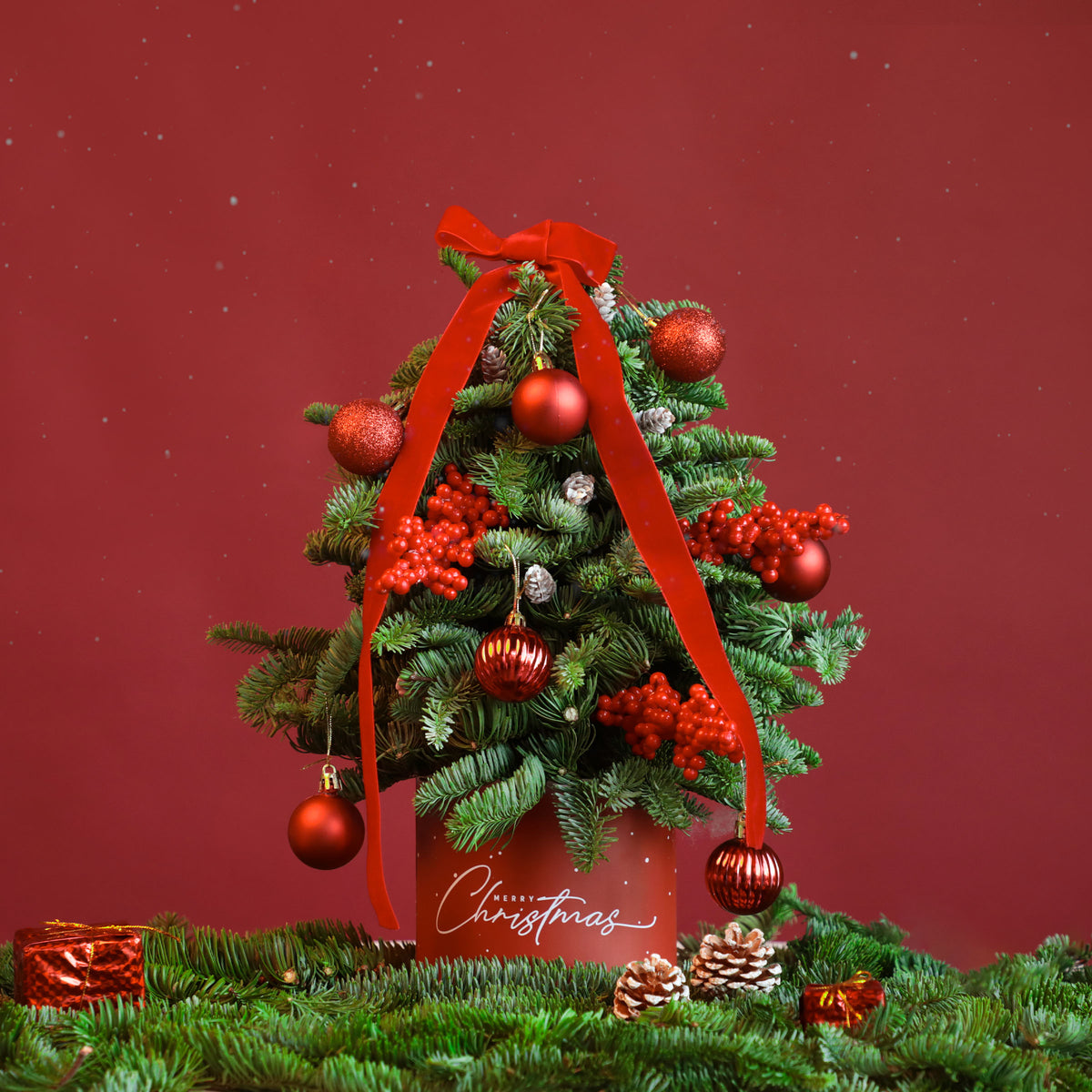 Mini Tree in Box