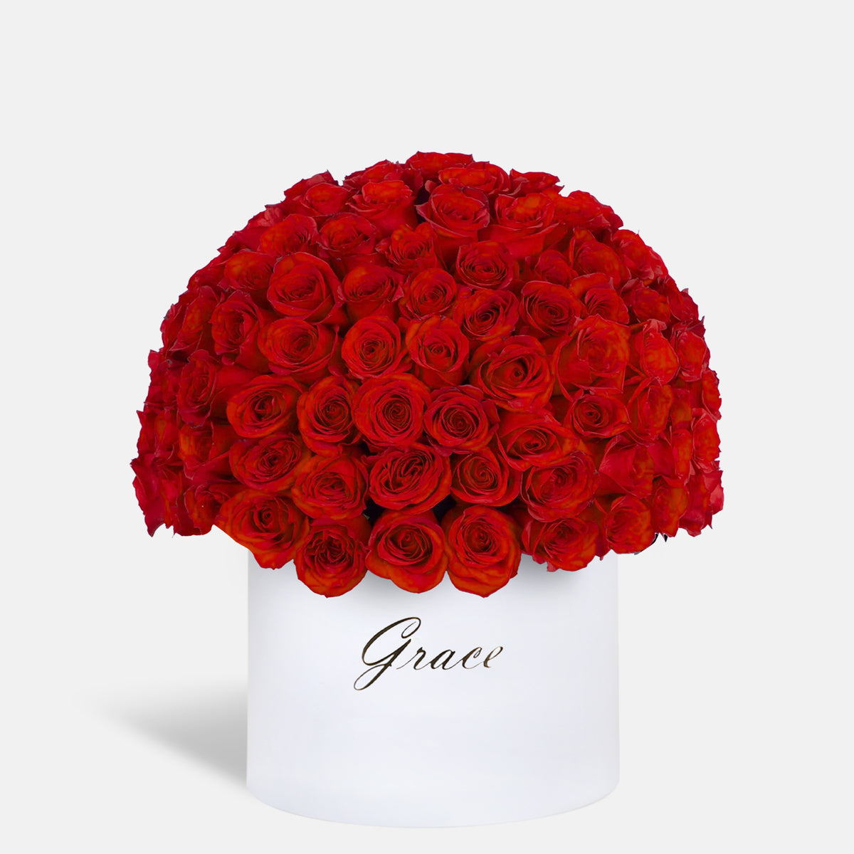 Red Dome in Box | Zuve Edition