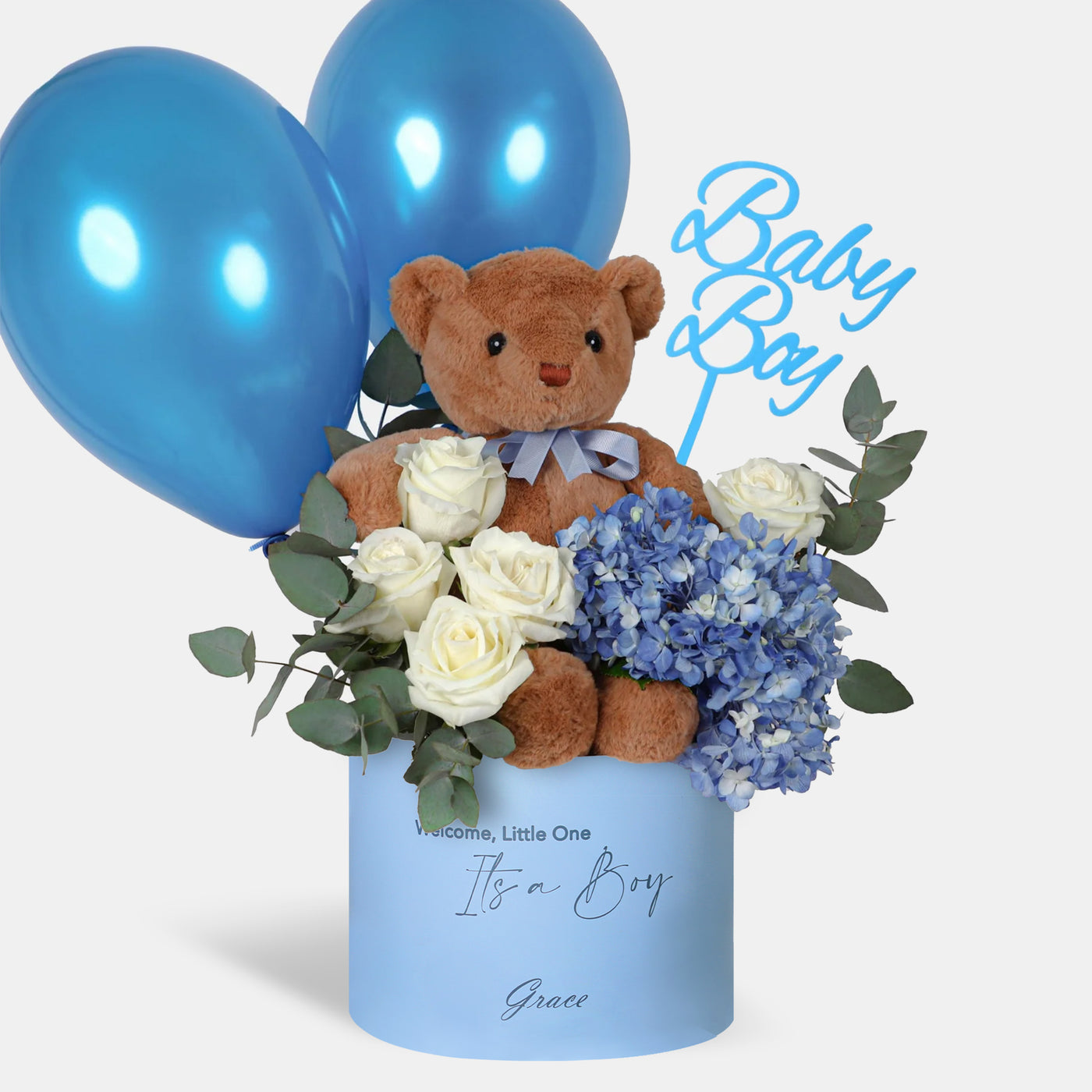 Baby Boy (with Teddy Bear)