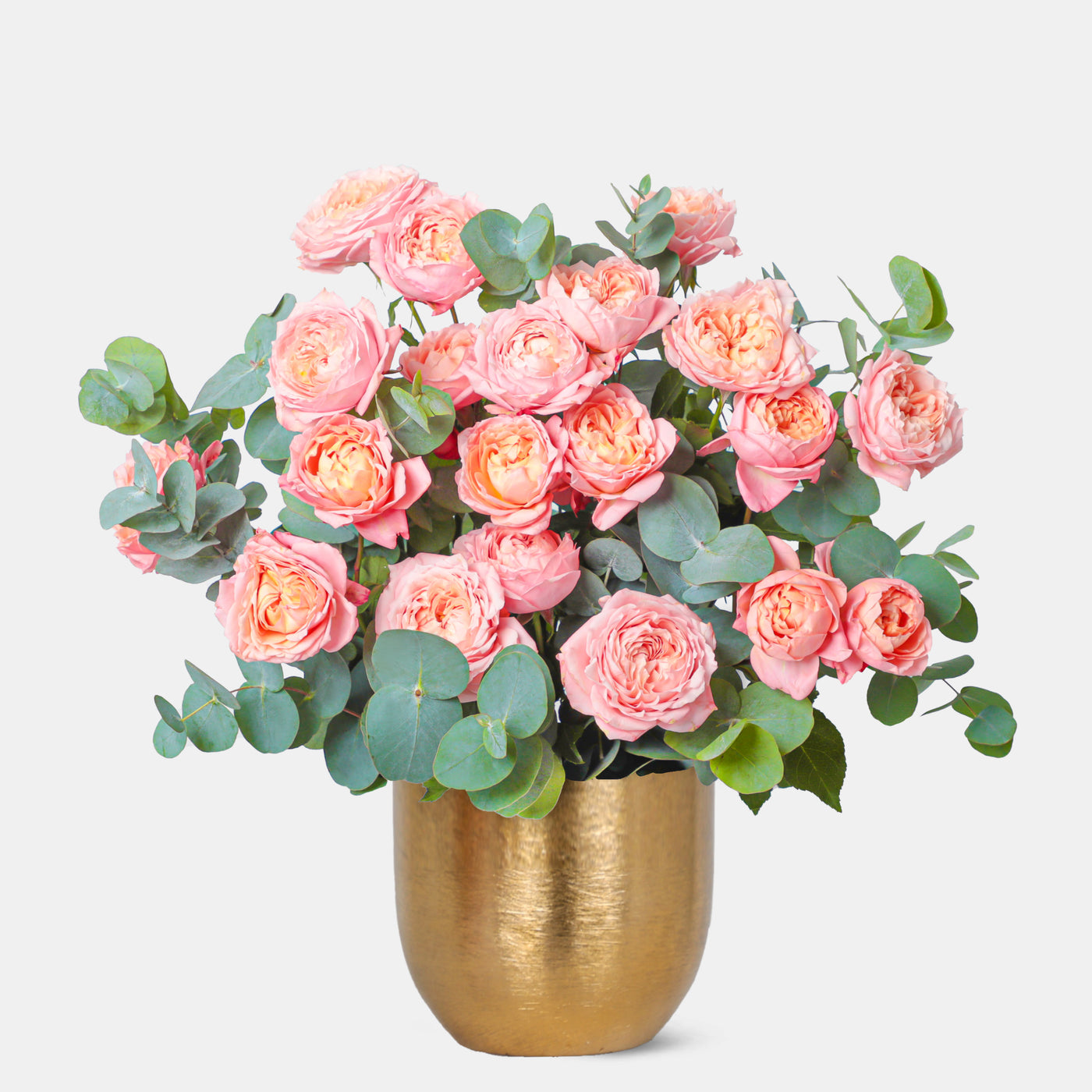 Juliet Peach Spray Roses in Gold Vase