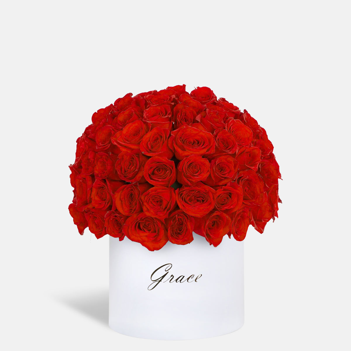 Red Dome in Box | Zuve Edition
