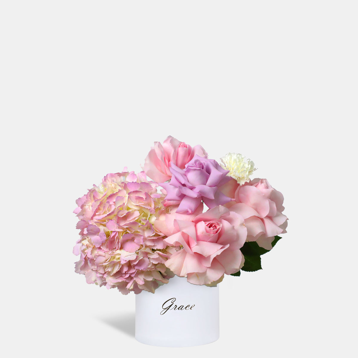 Lilac Reverie in Box