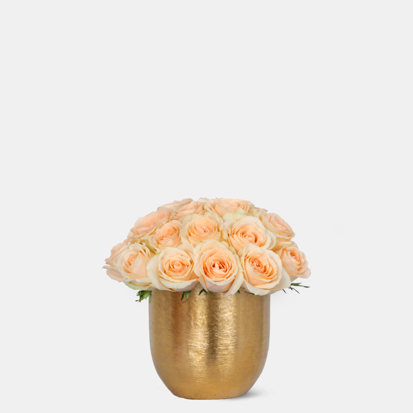 Peach Roses in Gold Vase