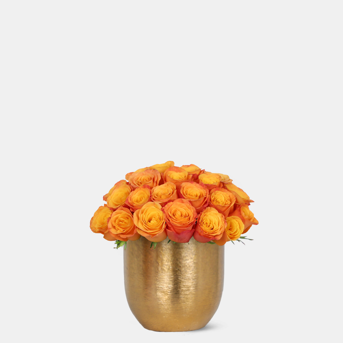 Orange Roses in Gold Vase