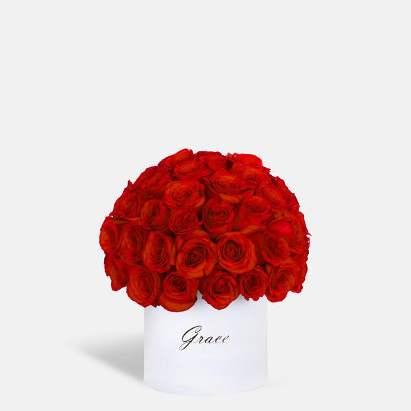 Red Dome in Box | Zuve Edition