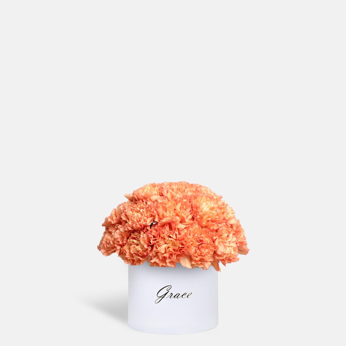 Orange Carnation in Box