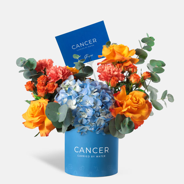 Cancer Zodiac - Sundown