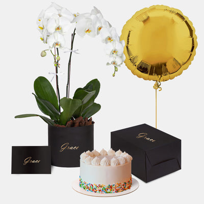 Orchids in Box with Cake Bundle