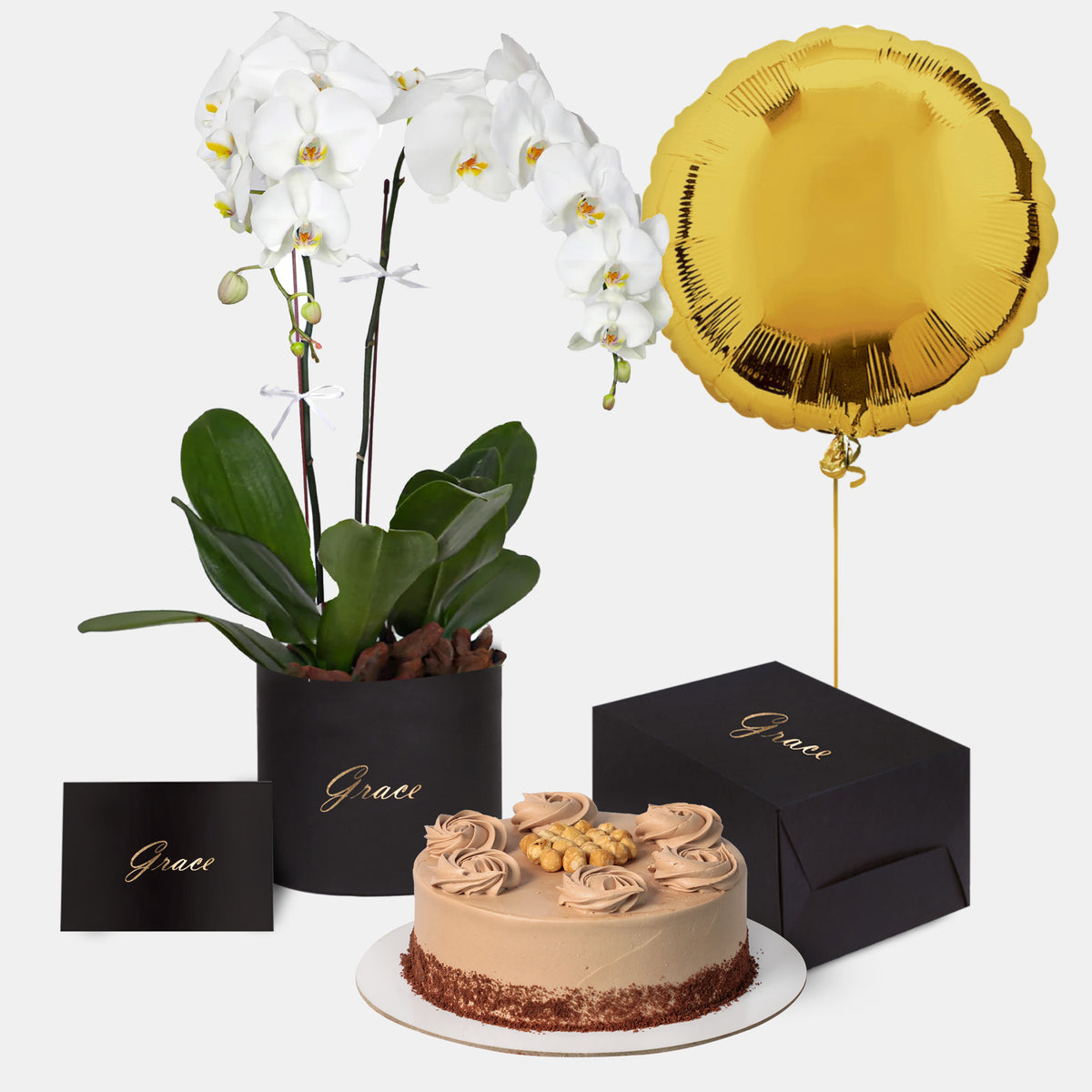 Orchids in Box with Cake Bundle